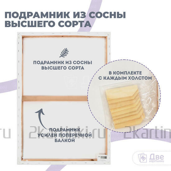 Тип товара Холст Две картинки на подрамнике 60X80