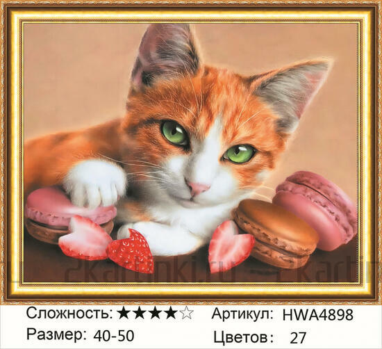 Алмазная мозаика 40x50 Рыжий котик и макароны